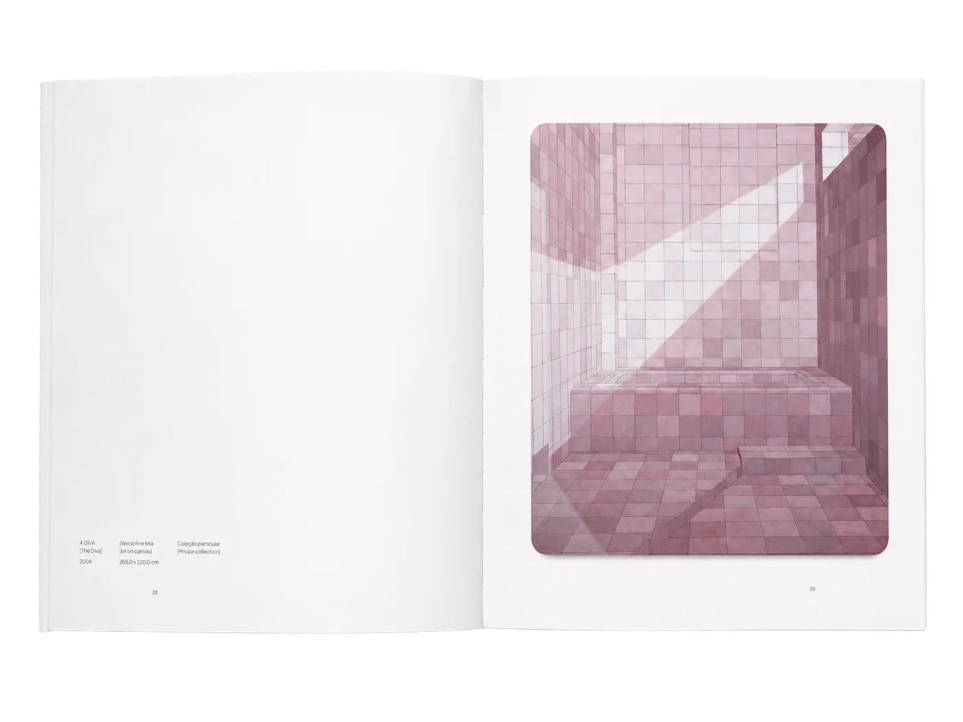 Adriana Varejão: pele do tempo — página 3