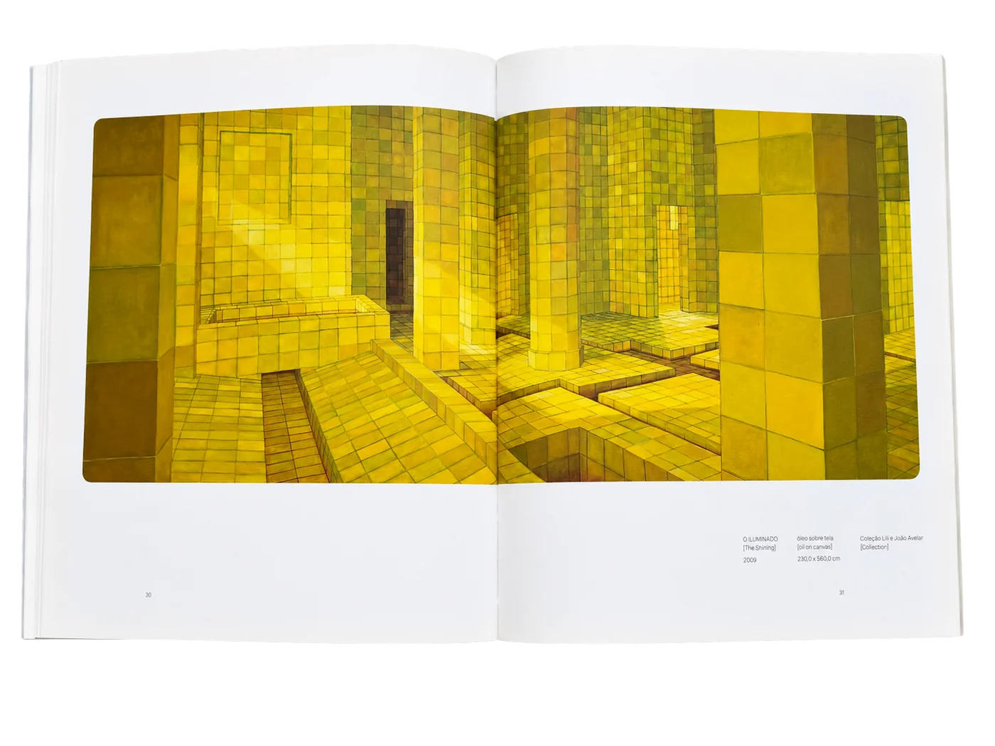 Adriana Varejão: pele do tempo — página 4